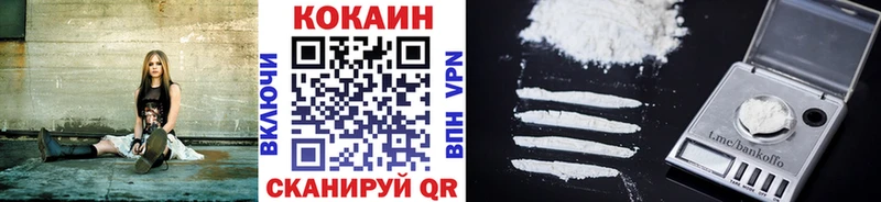 купить  цена  Починок  COCAIN Fish Scale 
