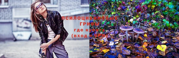 ALPHA PVP Михайлов