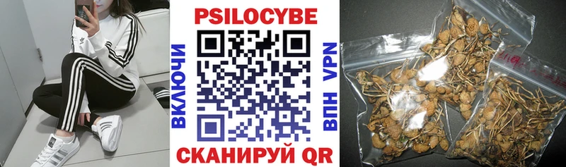 цены наркотик  МЕГА зеркало  Псилоцибиновые грибы мухоморы  Починок 